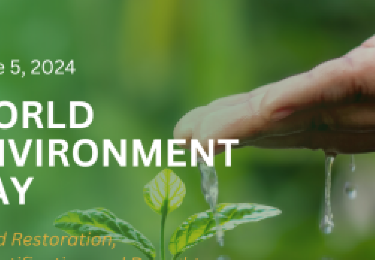 Celebrating World Environment Day: Our Strategies for Addressing Environmental Degradation.